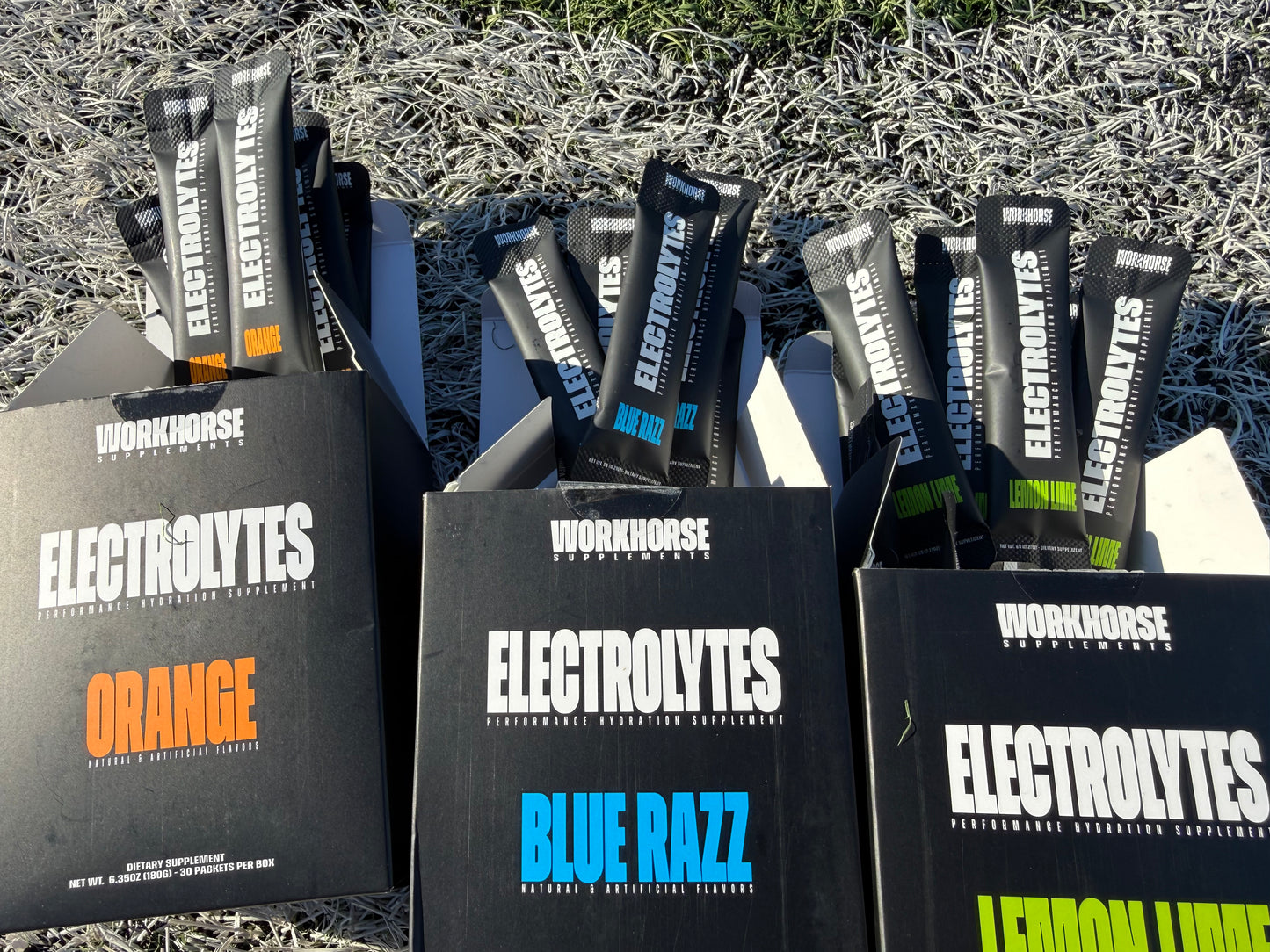 WORKHORSE ELECTROLYTES - VARIETY BUNDLE