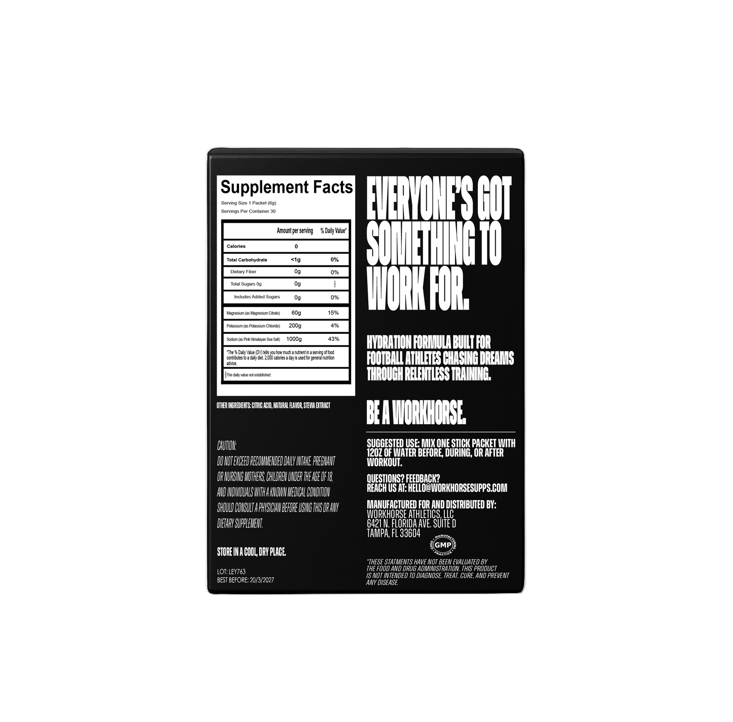 WORKHORSE ELECTROLYTES - LEMON LIME
