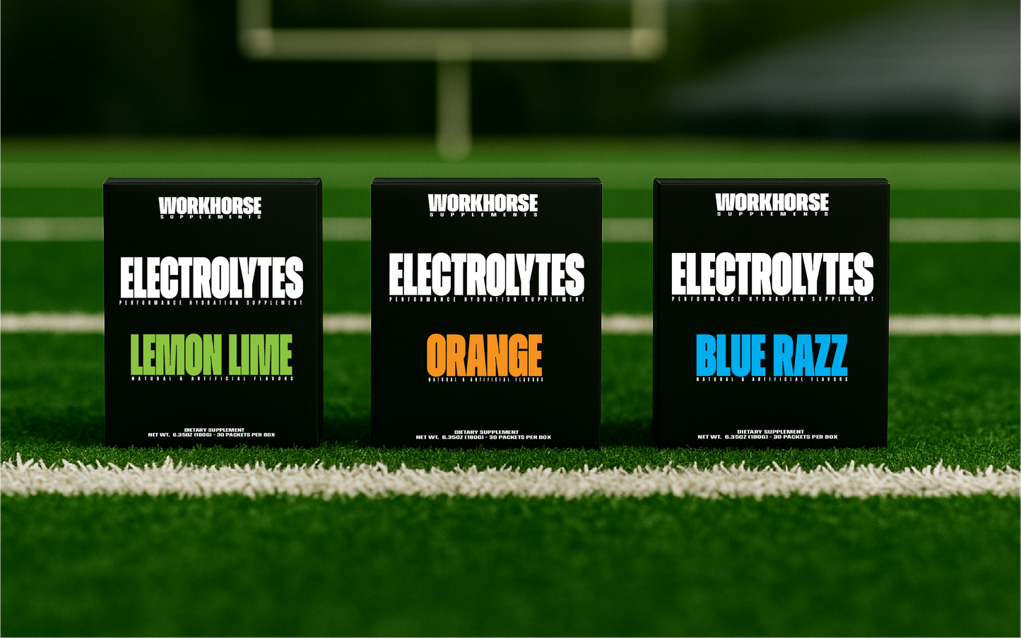 WORKHORSE ELECTROLYTES - VARIETY BUNDLE